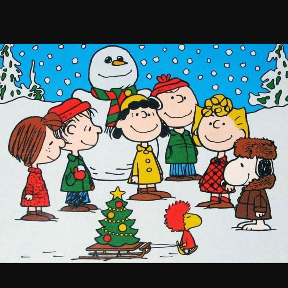 Meet your Posher, Carol